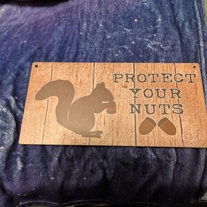 Rustic Squirrel Humor Wioden Sign – Protect Your Nuts
